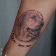 Dog Tattoo On Arm