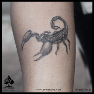 Scorpion Tattoo - Ace Tattoos
