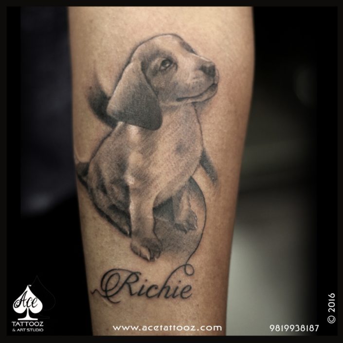dog leg tattoo - Ace Tattoos