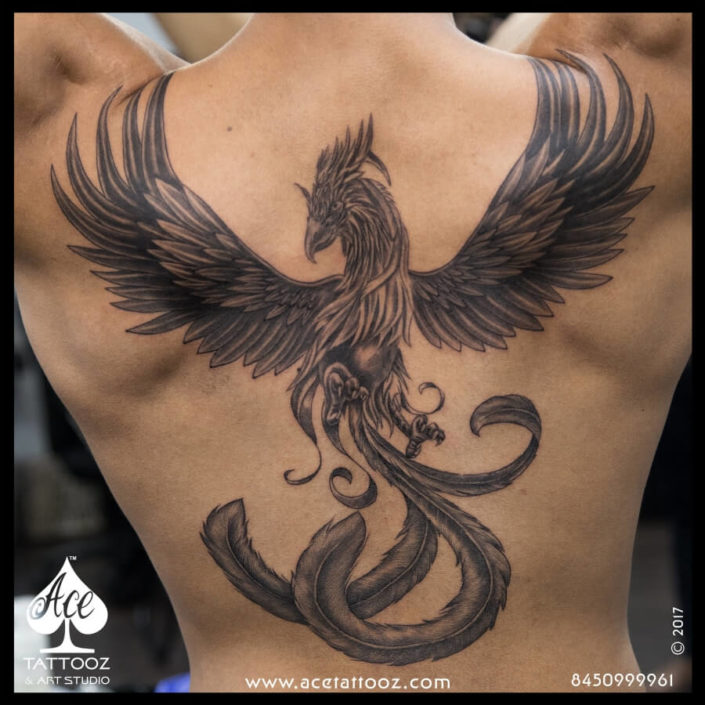 phoenix back tattoo male