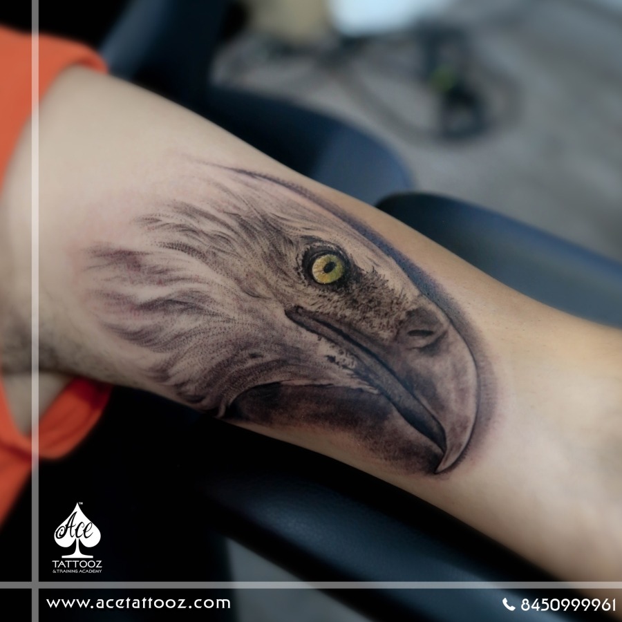 Premium Vector | Collection of eagle tattoo designs
