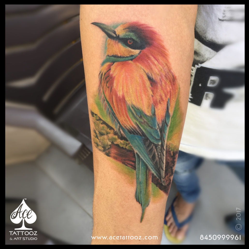 Colourful Kingfisher Bird Tattoo - Ace Tattooz