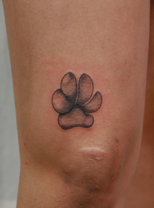 small dog paw tattoo - ace tattoz
