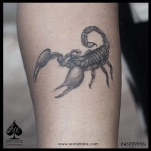 Scorpion Tattoo