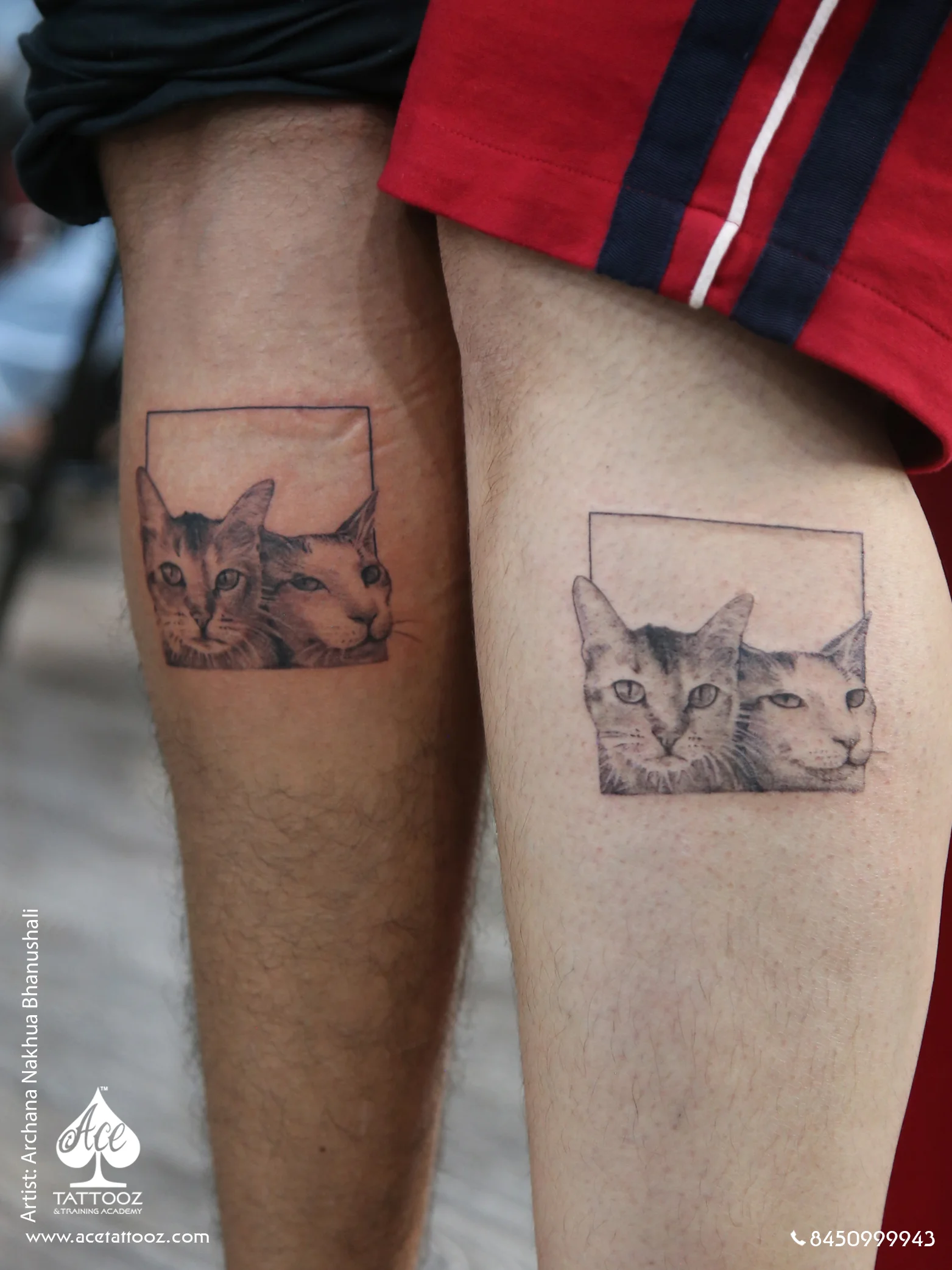 Cat Tattoo