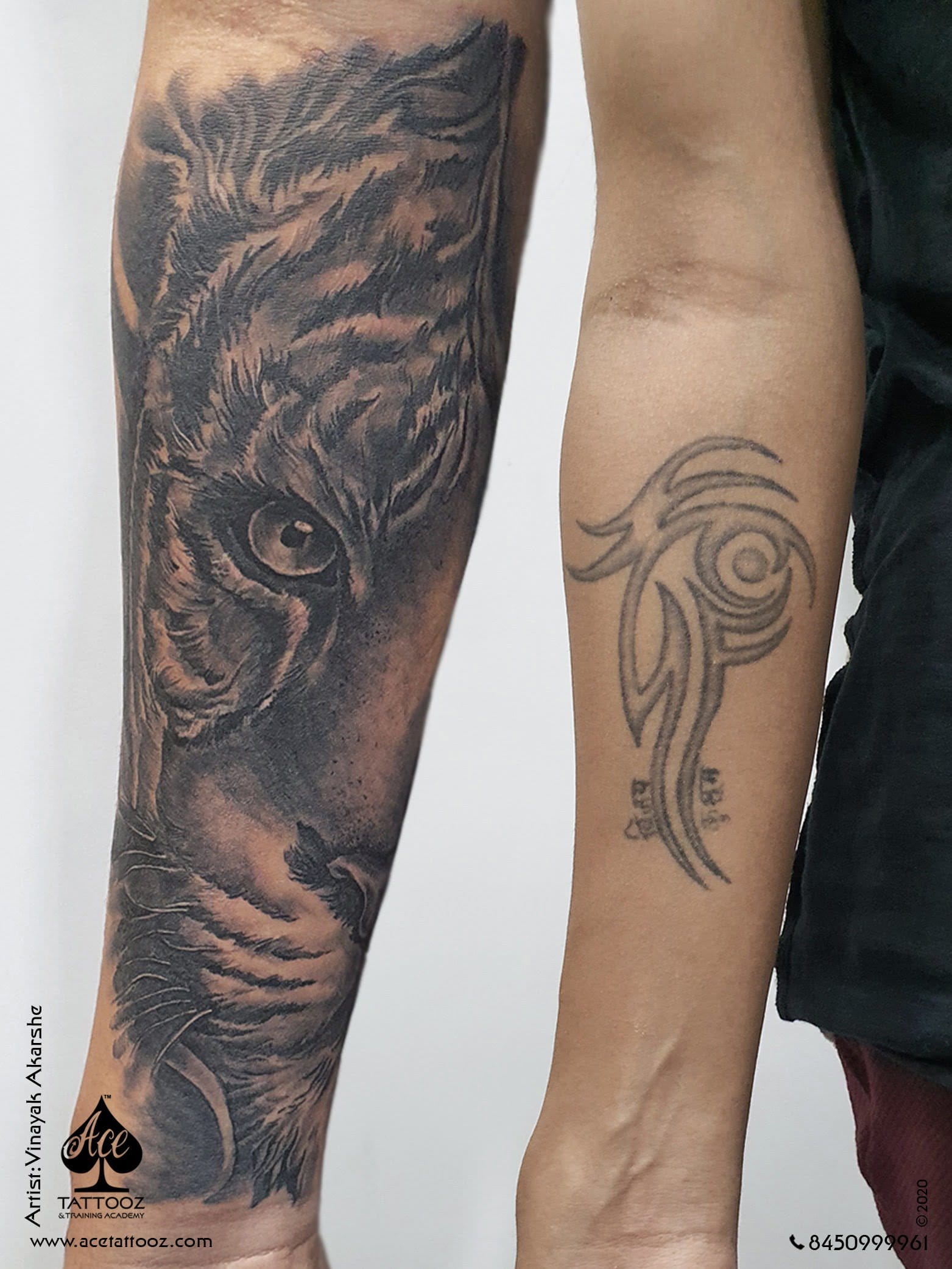 Cover Up Tiger Animal Tattoo