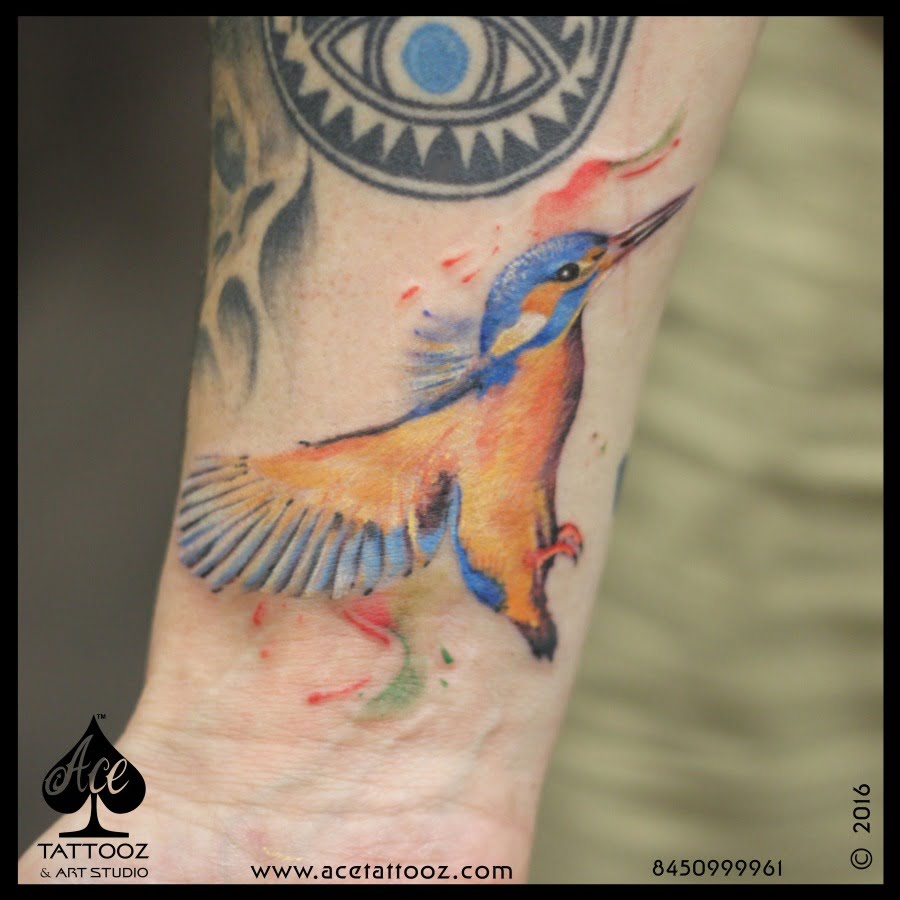 kingfisher