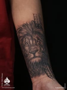 lion-website-1-225×300
