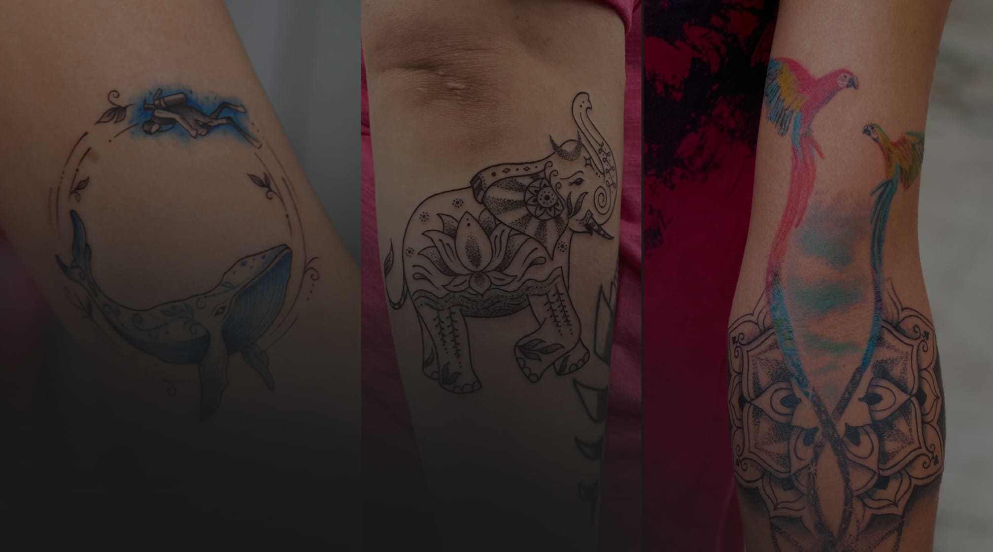 Animal Banner Tatoo
