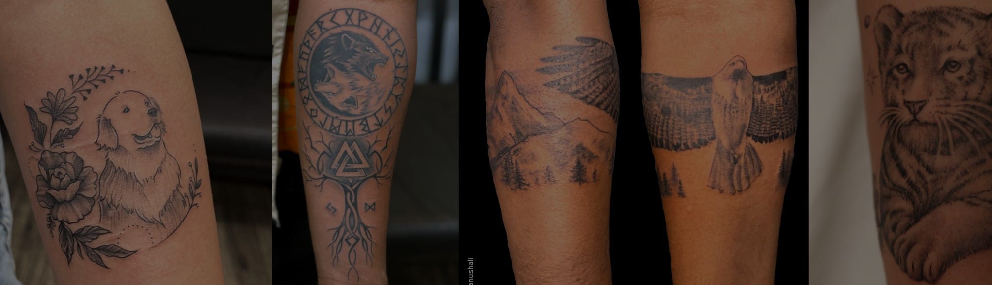 animal bottom banner