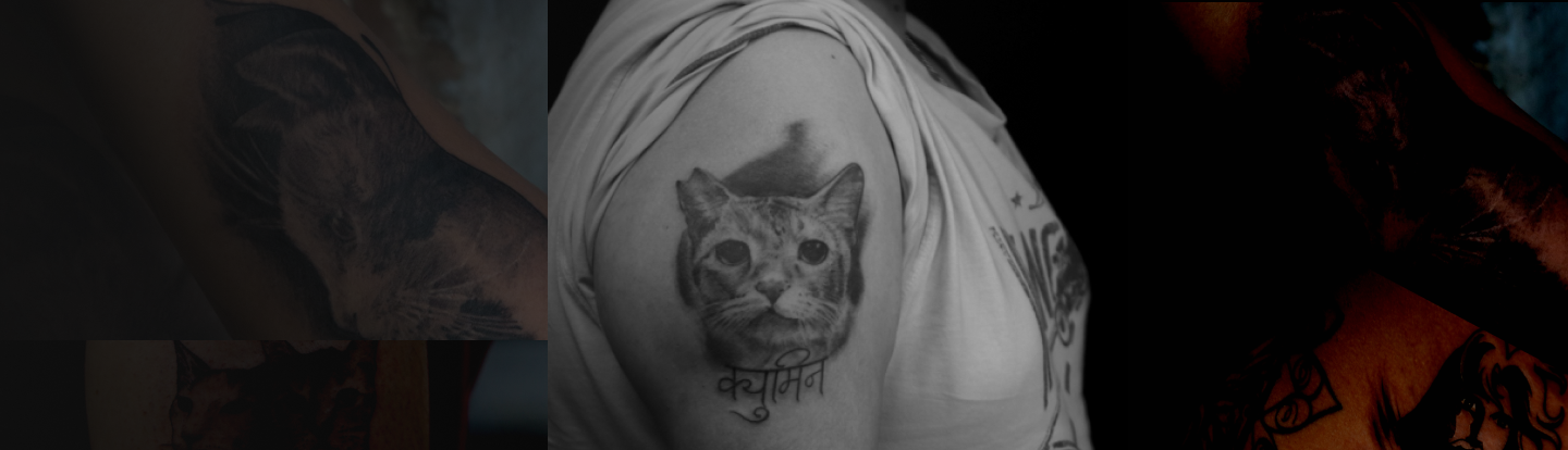 Cat background image