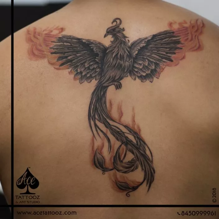 Phoenix Back Tattoo Designs for Men