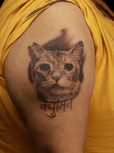 cat tattoo - Ace tattooz